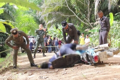 ภาพชุมพร 5