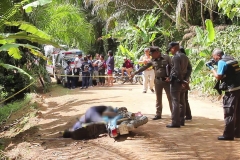 ภาพชุมพร 6