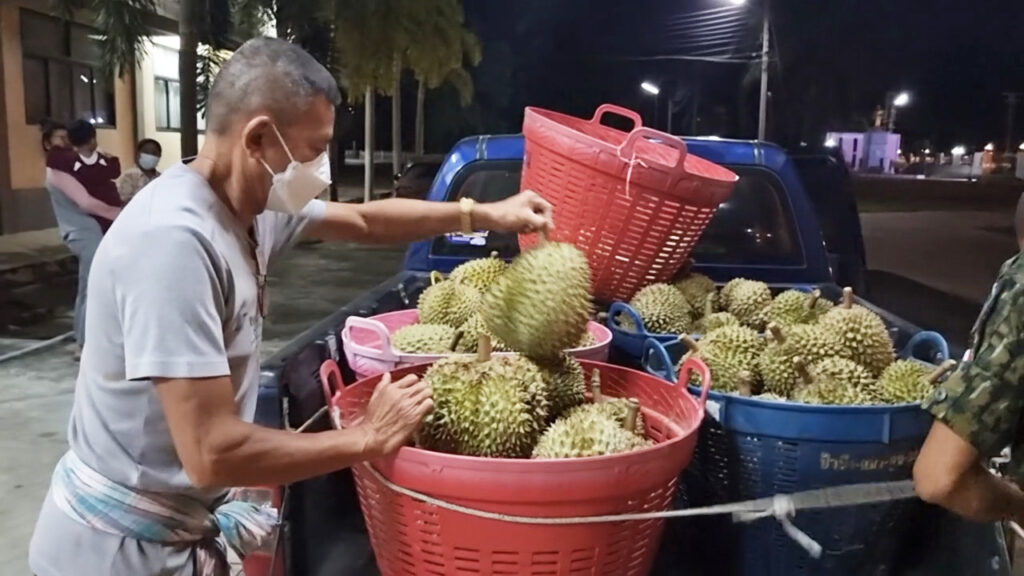 รองผวจ.ชุมพรแสดงเองปลอมตัวจับแม่ค้าเปิดแผงขายทุเรียนอ่อน 2