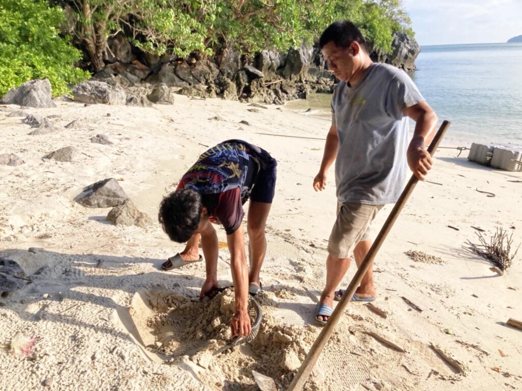 เต่ากระวางไข่114ฟองหาดเกาะทองหลาง 3