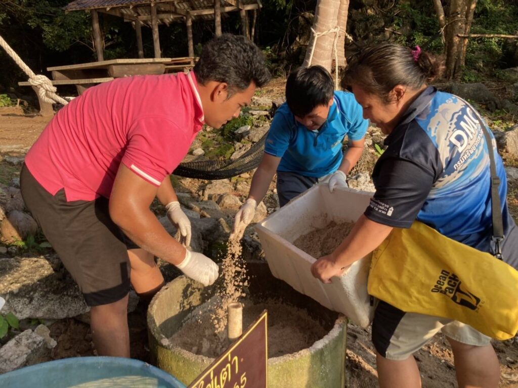 เต่ากระวางไข่114ฟองหาดเกาะทองหลาง 6