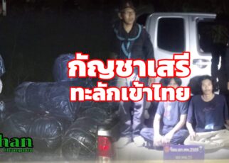 กัญชาเสรีทะลักเข้าไทย