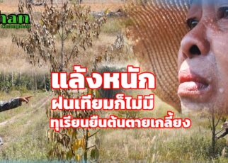 ชาวสวนน้ำตาร่วงแล้งหนักทุเรียนยืนต้นตายหมดสวน