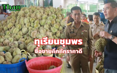 ทุเรียนชุมพร
