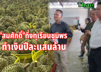 ทึ่งทุเรียนชุมพรทำเงินปีละแสนล้าน