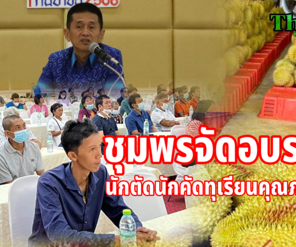 ชุมพรเข้มจัดอบรมนักตัดนักคัดทุเรียนคุณภาพ