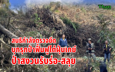 ตรวจยึดป่าบุกรุกฟื้นฟูไต้ฝุ่นเกย์