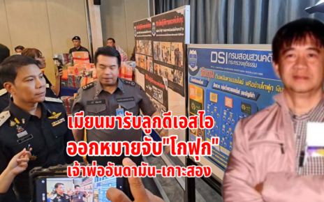 เมียนมารับลูกดีเอสไอ