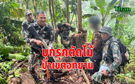 บุกรุกตัดไม้ป่าเขตอุทยาน