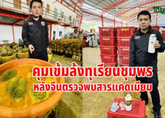 คุมเข้มล้งทุเรียนชุมพร