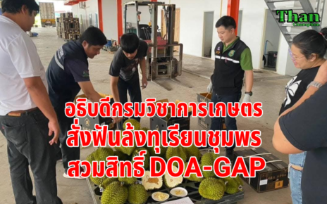 สังฟันล้งทุเรียนสวมสิทธิ์