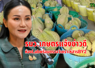 ข่าวดีทุเรียนส่งออกได้แล้ว