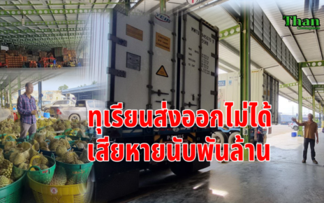 ทุเรียนส่งออกไม่ได้เสียหายพันล้าน