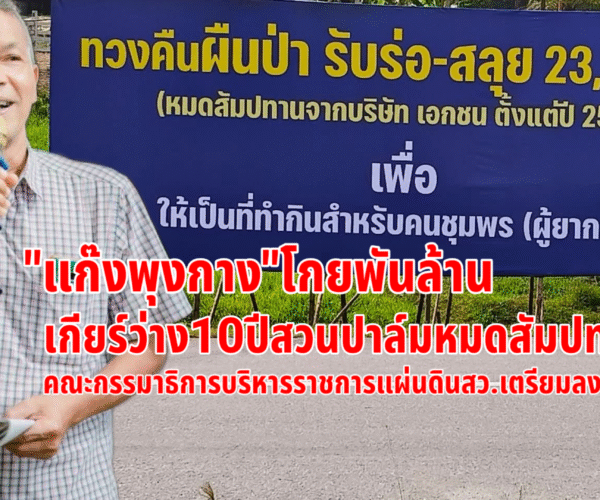ทวงคืนผืนป่าหมดสัมปทาน