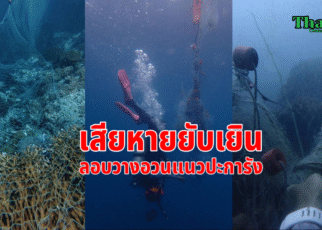 ปะการังยับเยิน