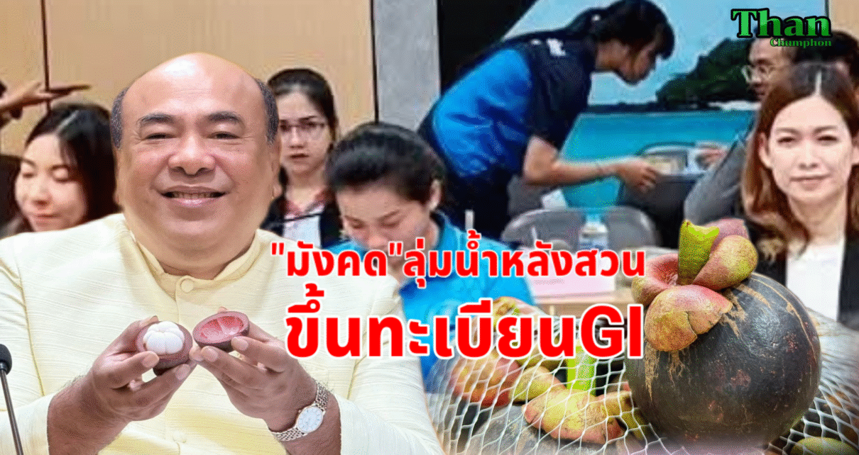 ดันมังคุดหลังสวนขึ้นGI