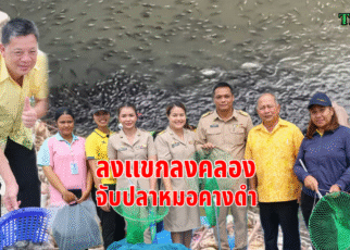 ลงแขกลงคลองจับปลาหมอคางดำ