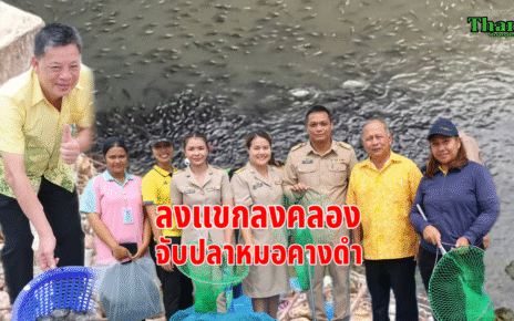 ลงแขกลงคลองจับปลาหมอคางดำ