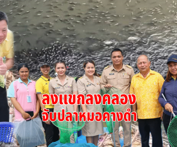 ลงแขกลงคลองจับปลาหมอคางดำ