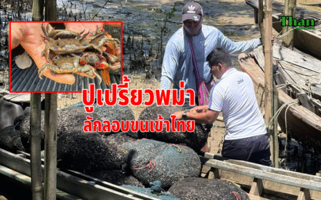 ปูเปรี้ยวพม่าขนเข้าไทย 10