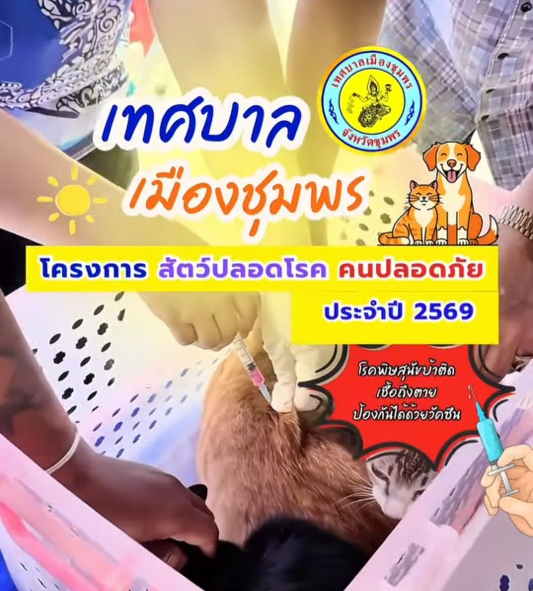 สัตว์ปลอดโรคคนปลอดภัยพิษสุนัขบ้า 9