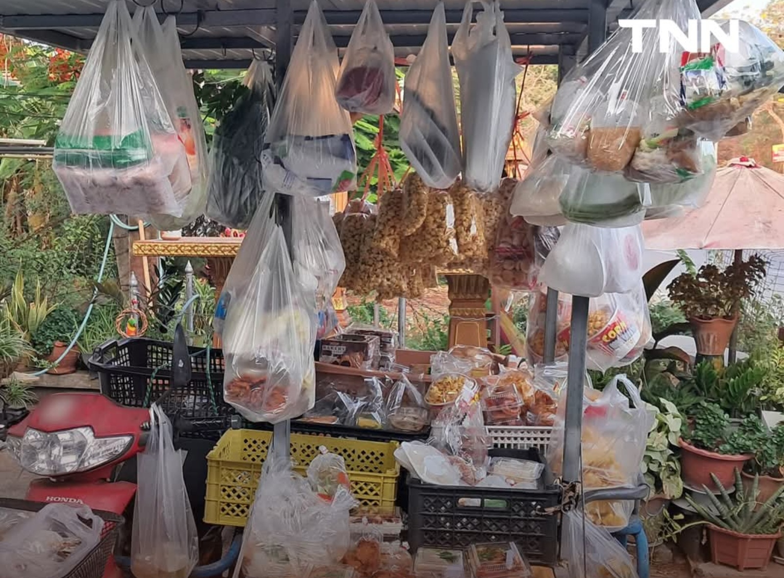 รถพุ่มพวงชุมพร8อำเภอพร้อมแล้ว 12