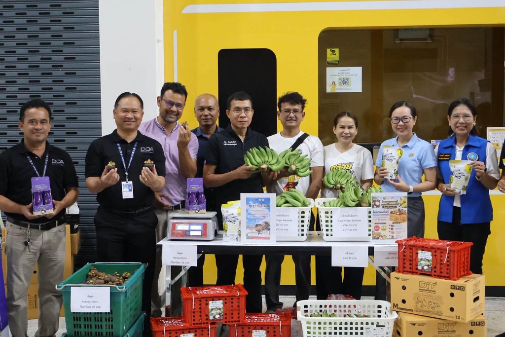 ชุมพรกระจายผลไม้ผ่านสนามบิน 6