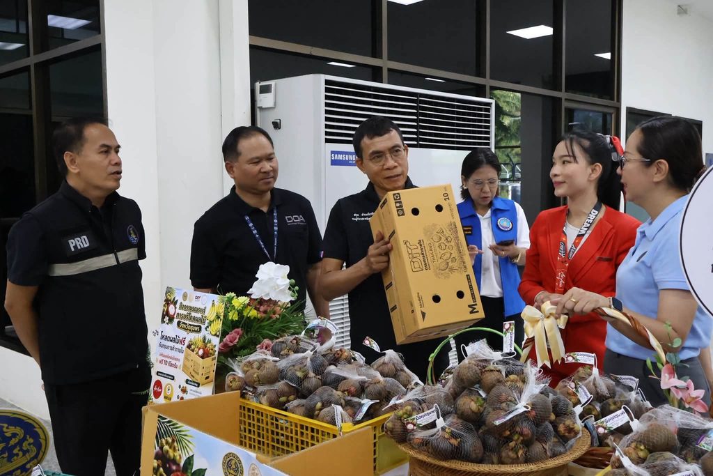 ชุมพรกระจายผลไม้ผ่านสนามบิน 3