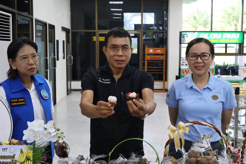 ชุมพรกระจายผลไม้ผ่านสนามบิน 2